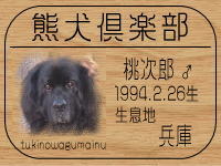 ���I�[�i�[�͂����Ղ肳��ł���